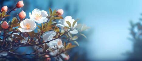 ai generado primavera belleza floreciente Rosa arbusto frontera en azul antecedentes. creado con generativo ai foto