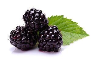 AI generated Juicy Blackberry on White Background Perfect for Healthy Snacks and Delicious Recipes. created with Generative AI photo