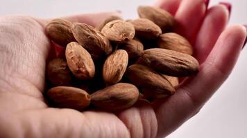 une fermer coup de une personne main verser amandes de le droite côté de le Cadre sur une blanc surface Contexte dans lent mouvement. video