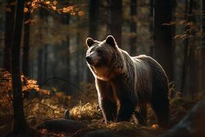 AI generated Bear Standing Still in the Serene Forest. created with Generative AI photo