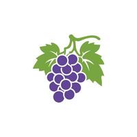 Grape icon color white background design. silhouette style, vector illustration.