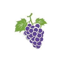 Grape icon color white background design. silhouette style, vector illustration.