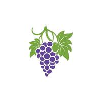 Grape icon color white background design. silhouette style, vector illustration.