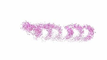 Animated Sakura Petals text letters forming the word petals with alpha channel video