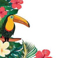 Square Blank Template with Toucan, Hibiscus, Plumeria, Palm Leaves and Monstera Leaves vector