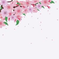 Blank Square Template with Cherry Blossom vector