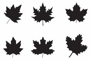 Silhouettes Of Maple Leaves Set Outline Vector Illustration On White Background