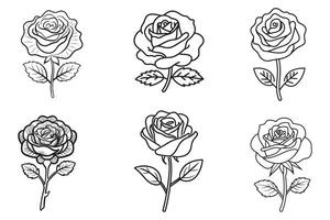 Rose Flowers Set Vector Silhouette Outline In White Background