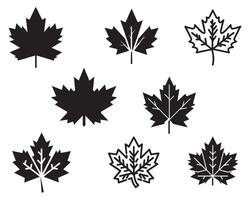 Maple leaf template vector icon on white background illustration