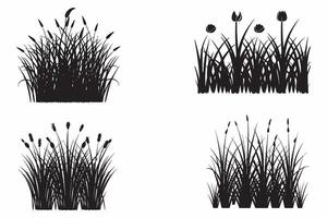 Set Of Silhouettes Grass Outline Vector Illustration On White Background