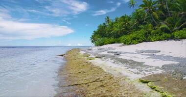 Tropical beach on Maldives island. Summer and tropical vacation concept. Sandy beach in tropics video