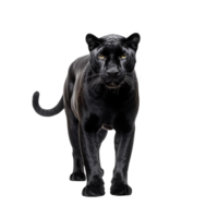 AI generated Panther clip art png