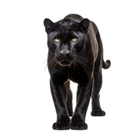 AI generated Panther clip art png
