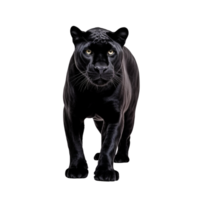 AI generated Panther clip art png