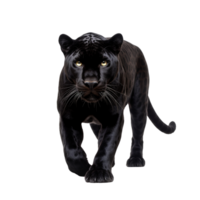 AI generated Panther clip art png