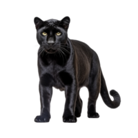 AI generated Panther clip art png