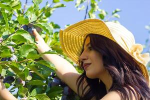 pretty young woman in the nature, summer scenery photo