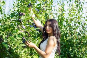 pretty young woman in the nature, summer scenery photo