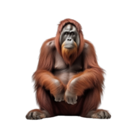 ai generiert Orang-Utan Clip Kunst png