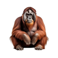 ai generiert Orang-Utan Clip Kunst png