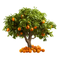 ai generado naranja Fruta árbol acortar Arte png