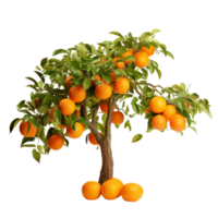 AI generated Orange fruit tree clip art png