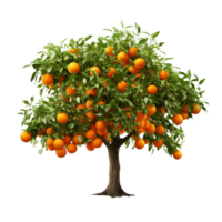 ai généré Orange fruit arbre agrafe art png