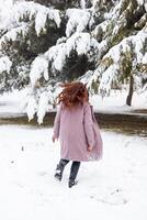 pretty young woman in winter park, red haired girl in the park in winter photo