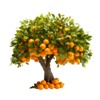 AI generated Orange fruit tree clip art png