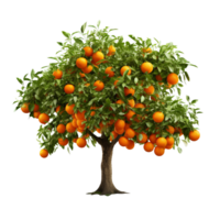 AI generated Orange fruit tree clip art png