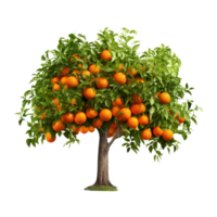 AI generated Orange fruit tree clip art png