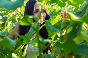 pretty young woman in the nature, summer scenery photo