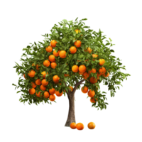 AI generated Orange fruit tree clip art png