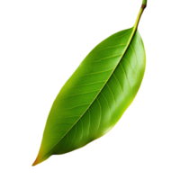 AI generated Mango leaf clip art png