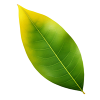 AI generated Mango leaf clip art png