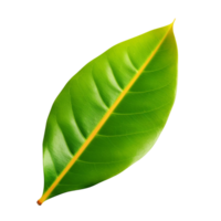 AI generated Mango leaf clip art png