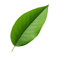 AI generated Mango leaf clip art png