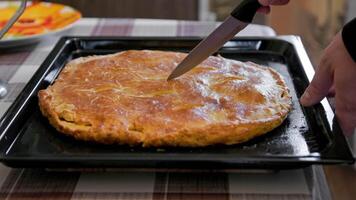 caucasuan hands slicing freshly baked domestic ossetian pie on with knife video