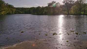 verano lago con arboles en el bancos video