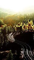 An empty road winding through a beautiful forest at sunset video