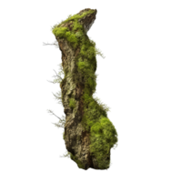 AI generated Green moss on rotten bark tree clip art png