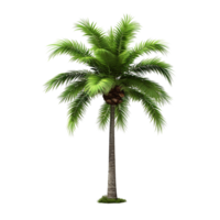 AI generated Green palm tree clip art png