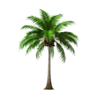 AI generated Green palm tree clip art png