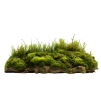 ai genererad grön mossa med gräs klämma konst png