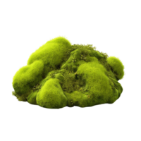 AI generated Green moss with grass clip art png