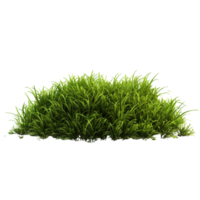 AI generated Green grass field clip art png