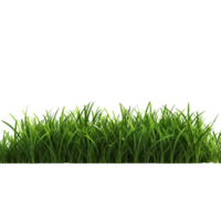 AI generated Green grass field clip art png