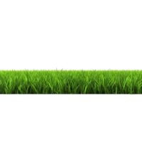 AI generated Green grass field clip art png