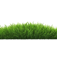 ai gegenereerd groen gras veld- klem kunst png