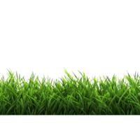 AI generated Green grass field clip art png